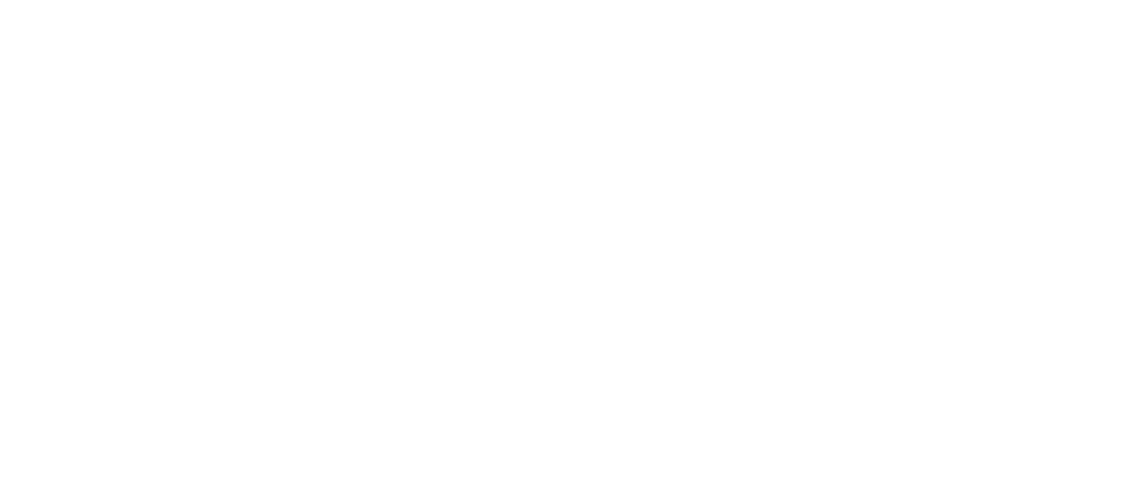 Business Succession Partners